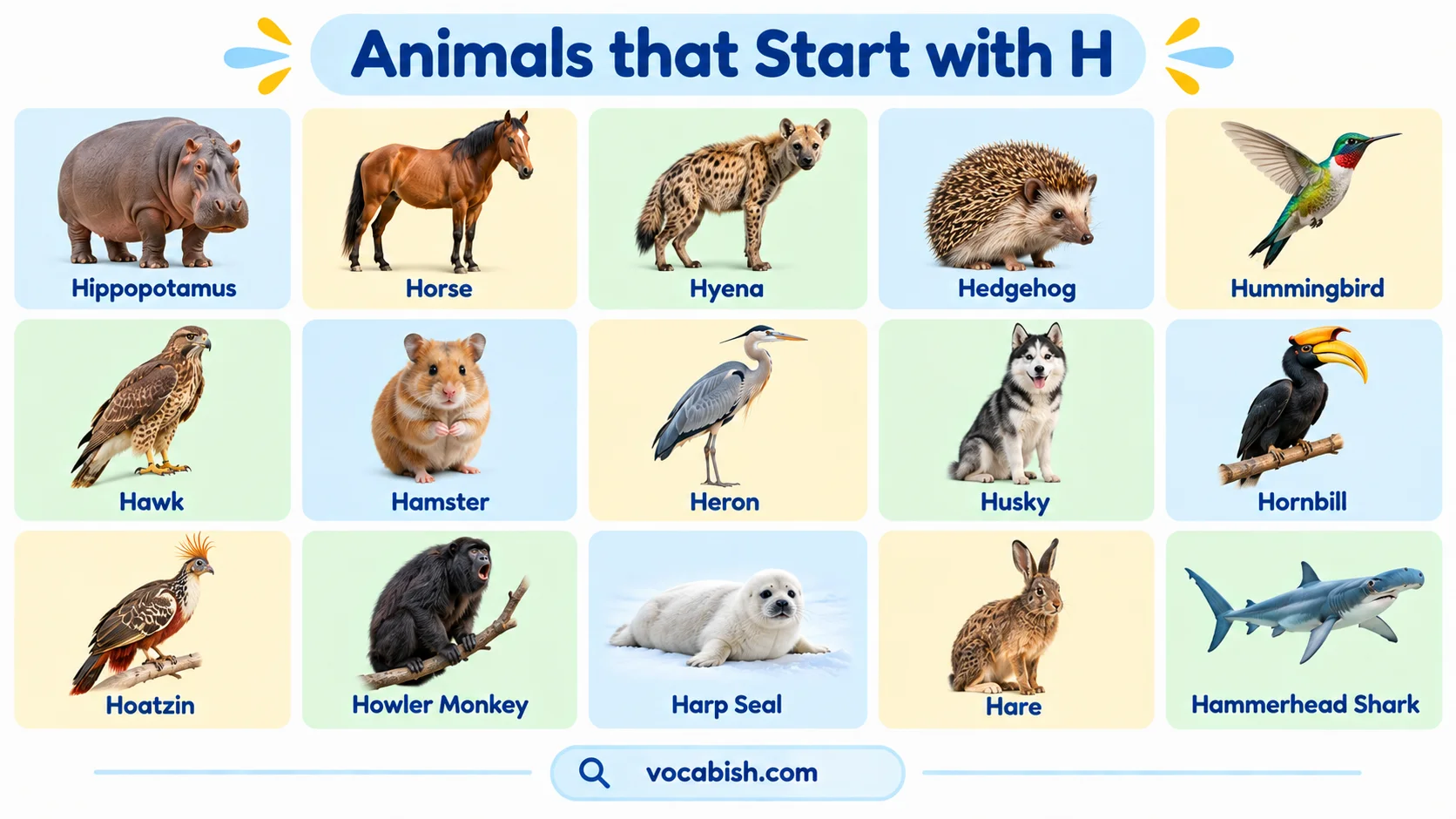Animals That Start with H: 100+ Animal Names, Facts, and Pictures