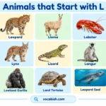 Animals That Start with L: 100+ Animal Names and Facts