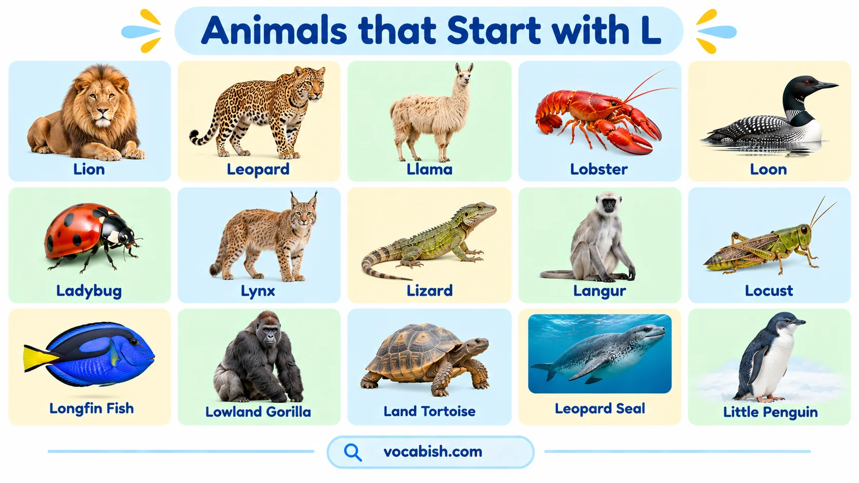 Animals That Start with L: 100+ Animal Names and Facts