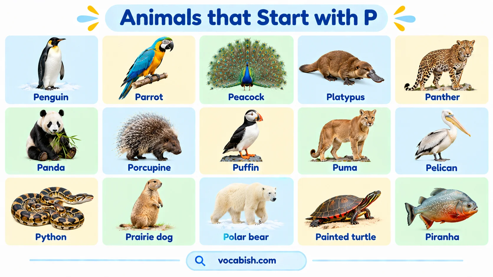 Animals That Start with P: 100+ Animal Names and Facts