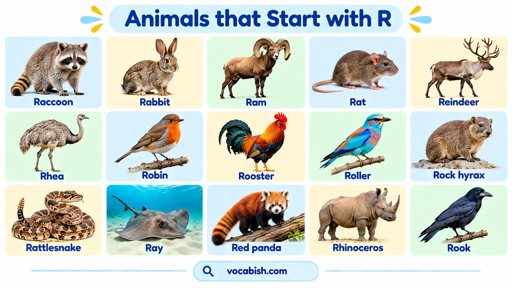 Animals That Start With R: 100+ Names, Facts, and Pictures