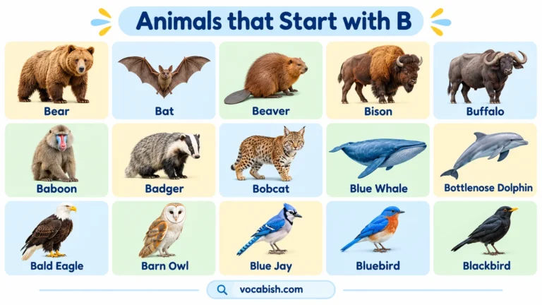 125+ Animals that Start with B with Their Names and Facts