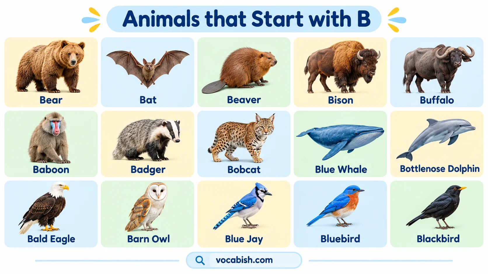 125+ Animals that Start with B with Their Names and Facts