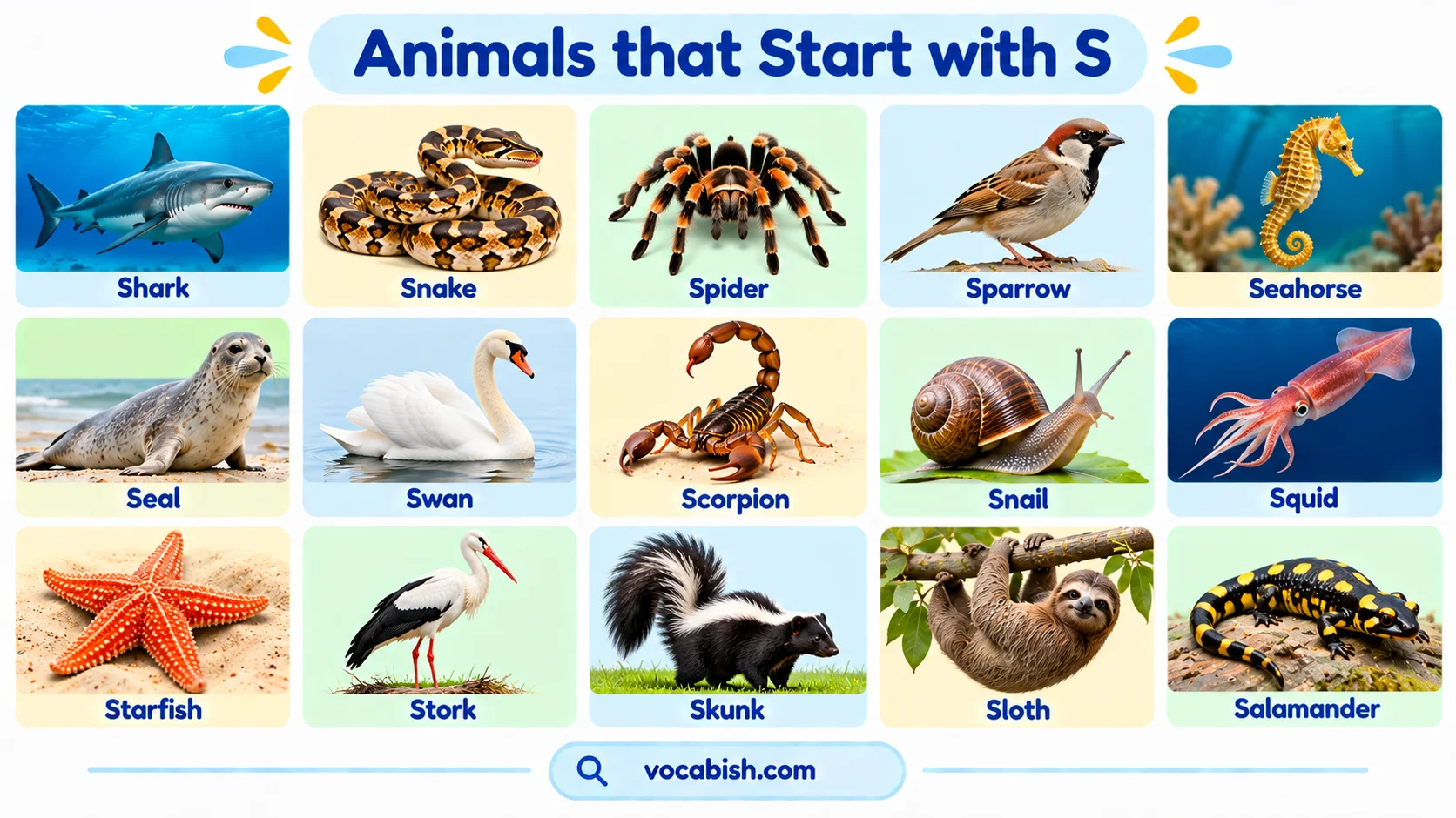 250+ Animals That Start with S in English: Names & Facts