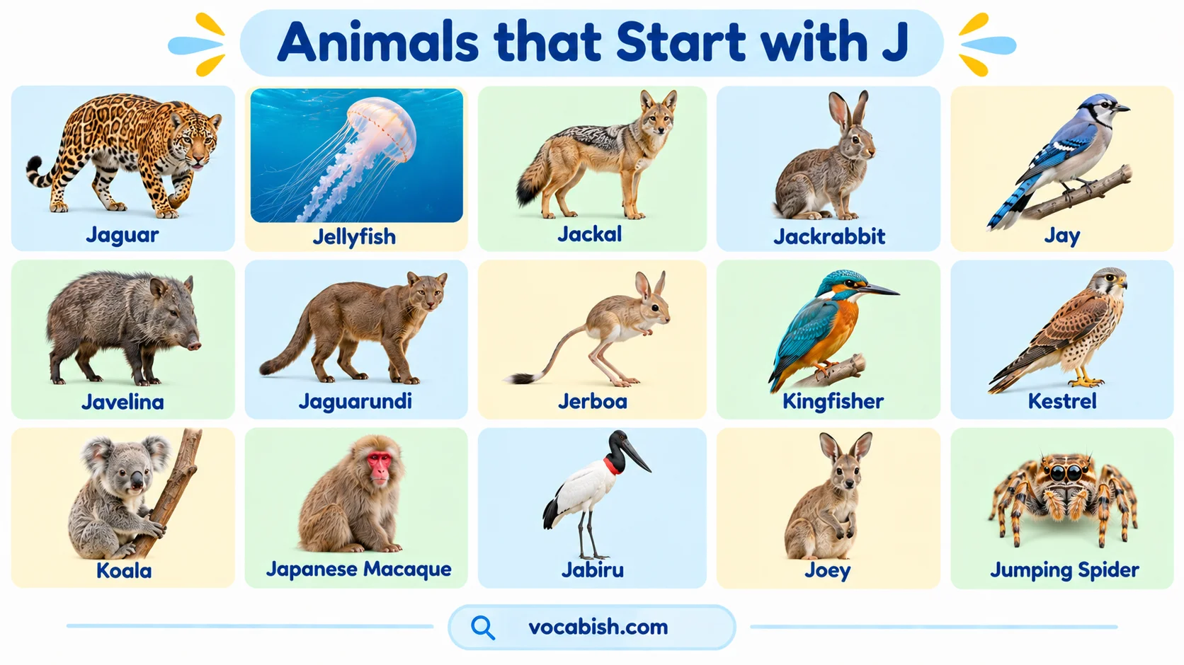 Animals That Start with J: 50+ Animal Names in English