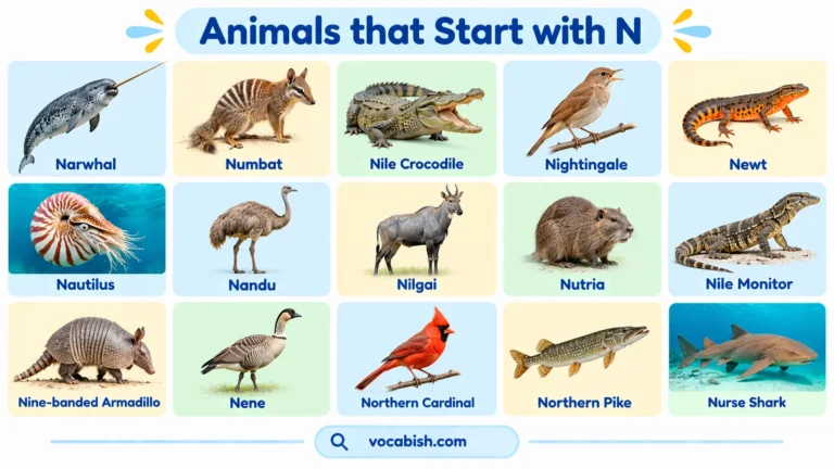 Animals That Start with N: 60+ Names, Facts, and Pictures