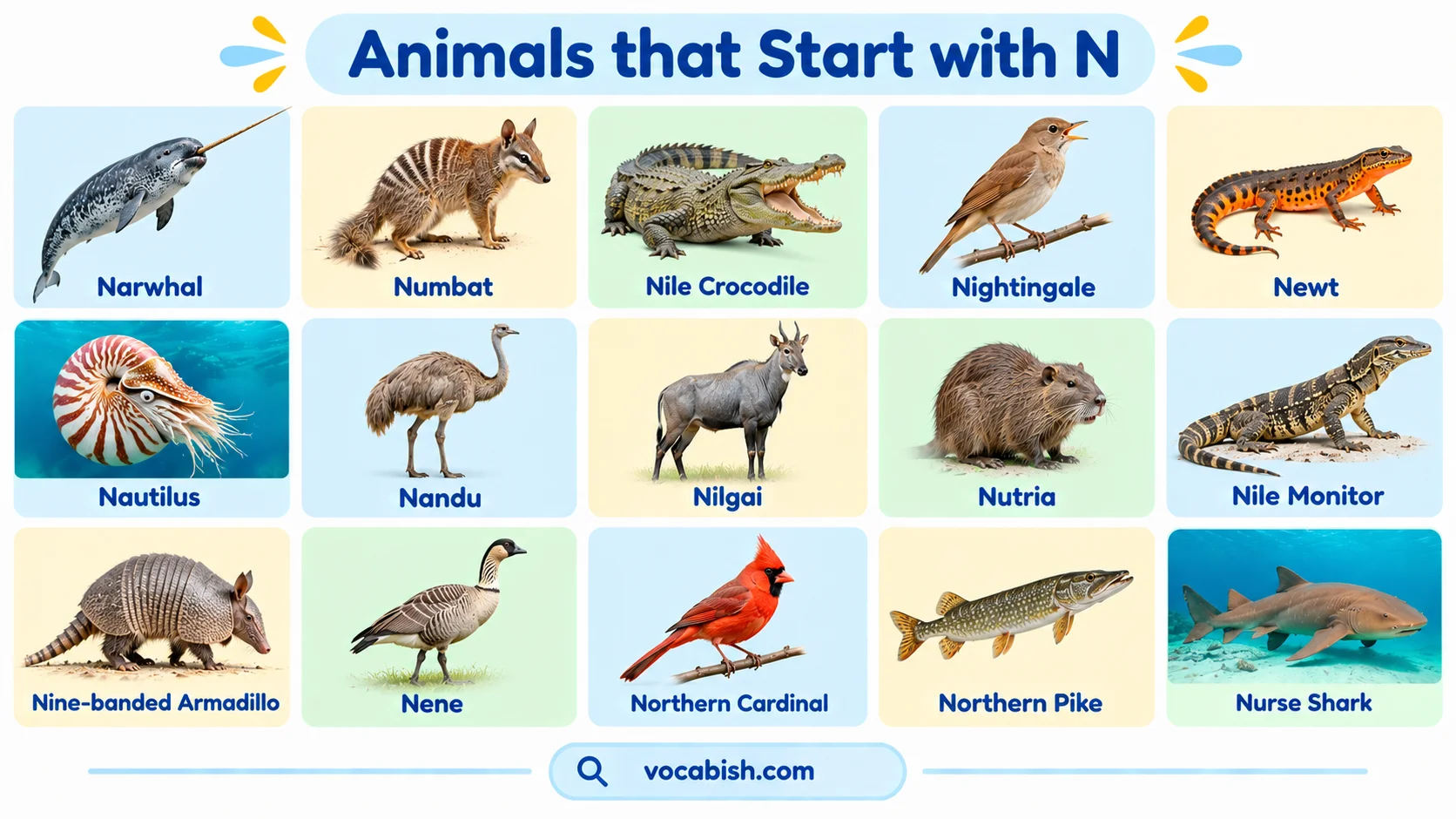 Animals That Start with N: 60+ Names, Facts, and Pictures