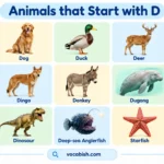 Animals That Start with D: Complete Animal List with Names