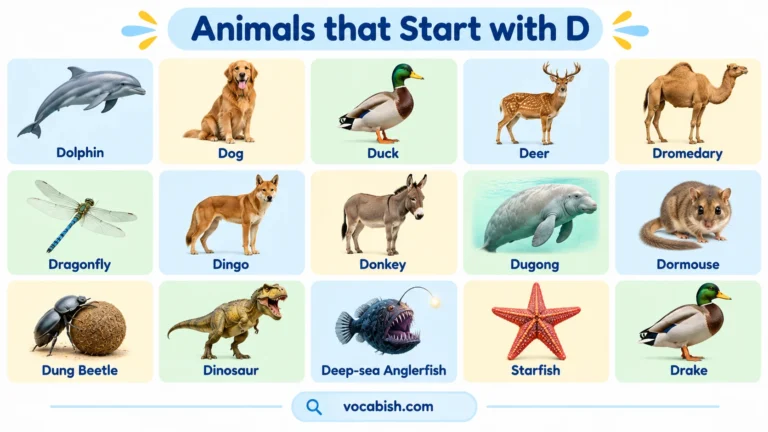 Animals That Start with D: Complete Animal List with Names