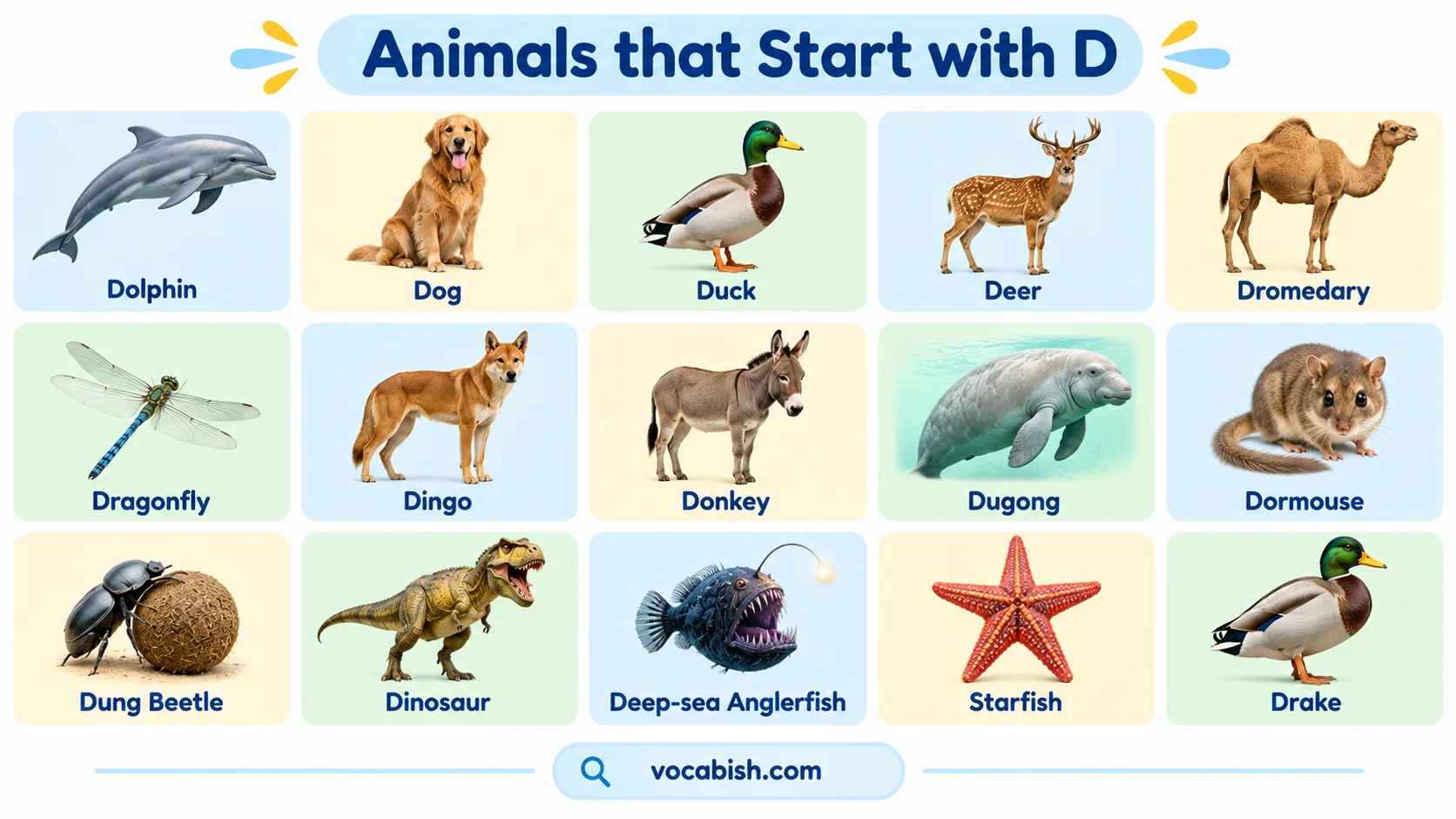 Animals That Start with D: Complete Animal List with Names