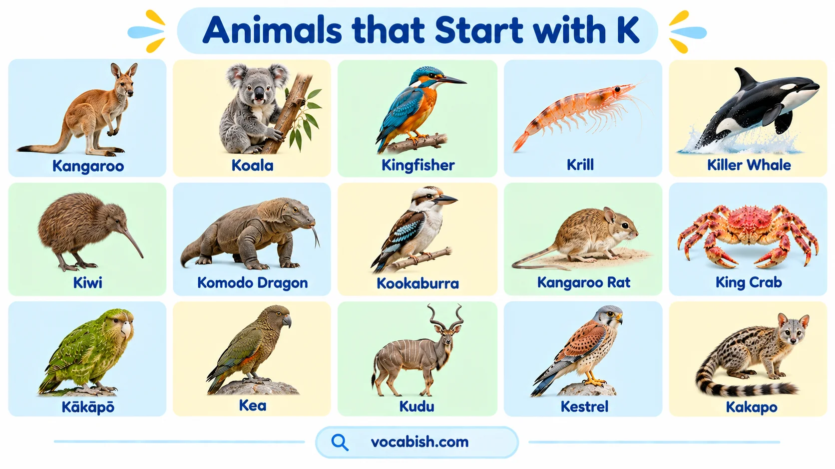 Animals That Start With K: 70+ Animal Names and Facts