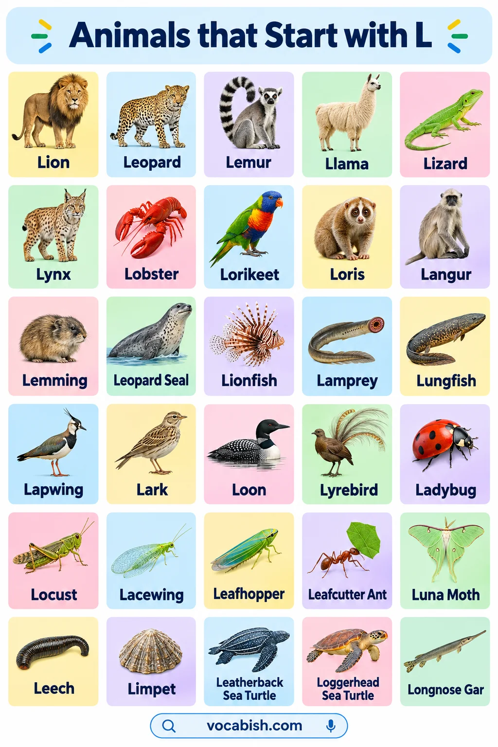 Animals That Start with L: 100+ Animal Names and Facts