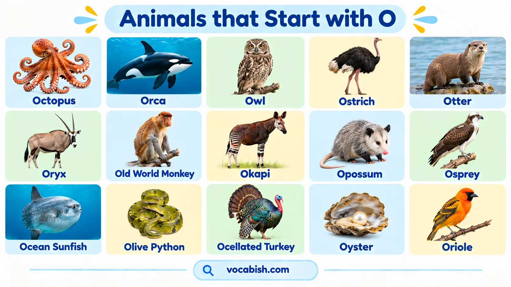 Animals That Start with O: 50+ Animal Names and Facts