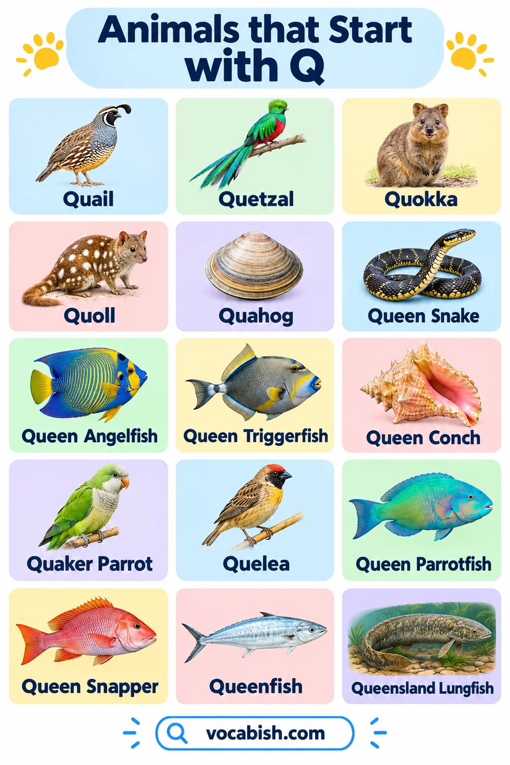 Animals That Start with Q: 30 Names, Facts, and Pictures