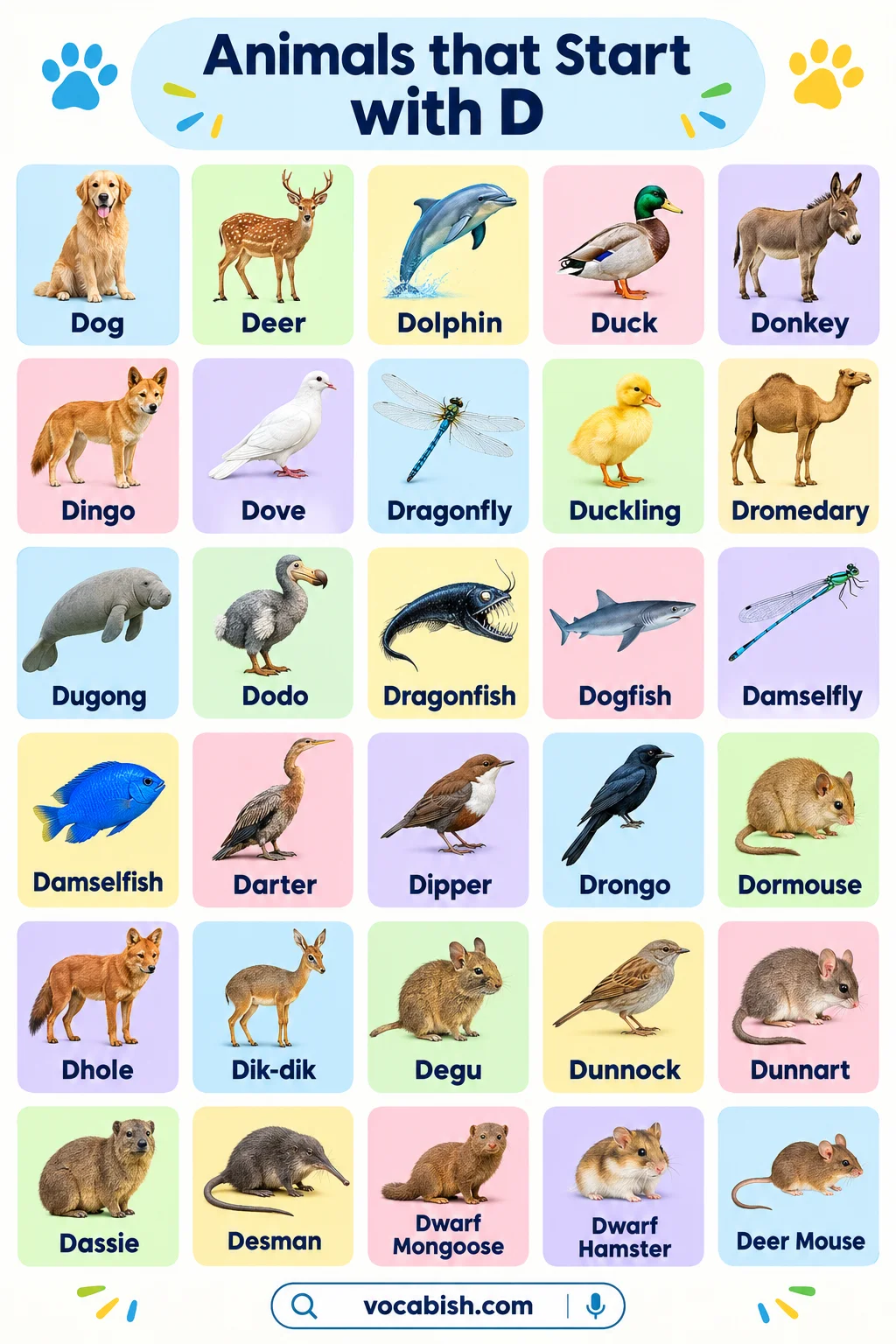 Animals That Start with D: Complete Animal List with Names