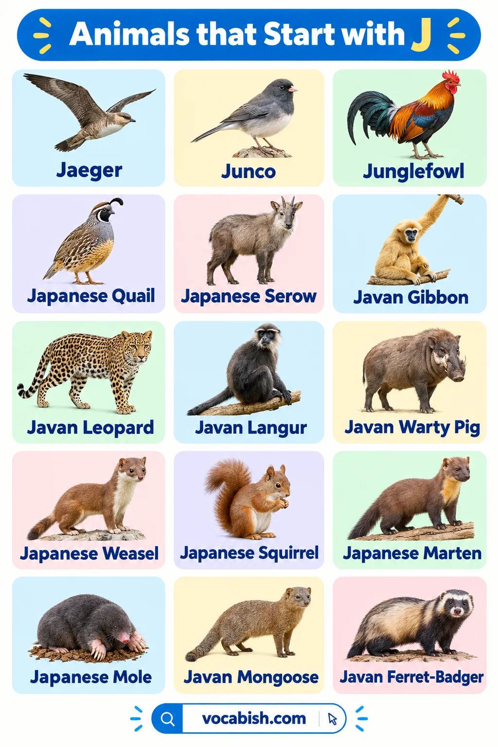 Animals That Start with J: 50+ Animal Names in English