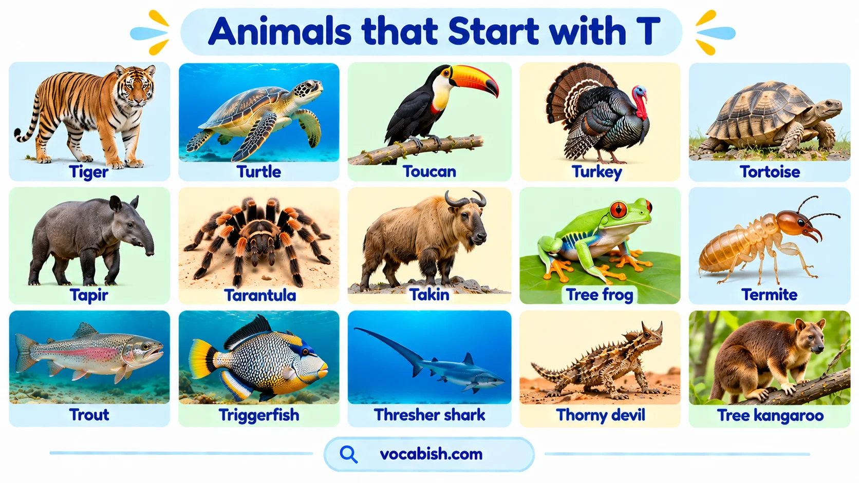Animals That Start with T: Names, Types, and Easy Facts