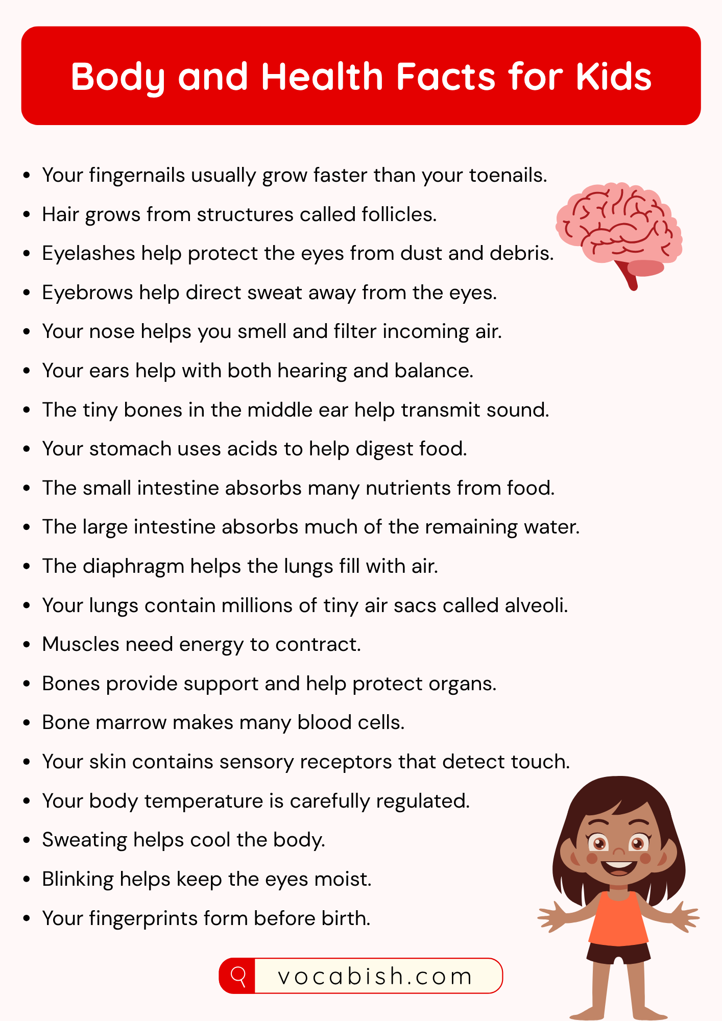 Body and Health Facts for Kids