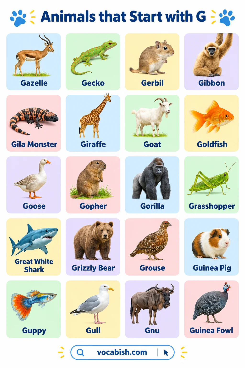 Animals That Start with G: Names, Types, and Pictures