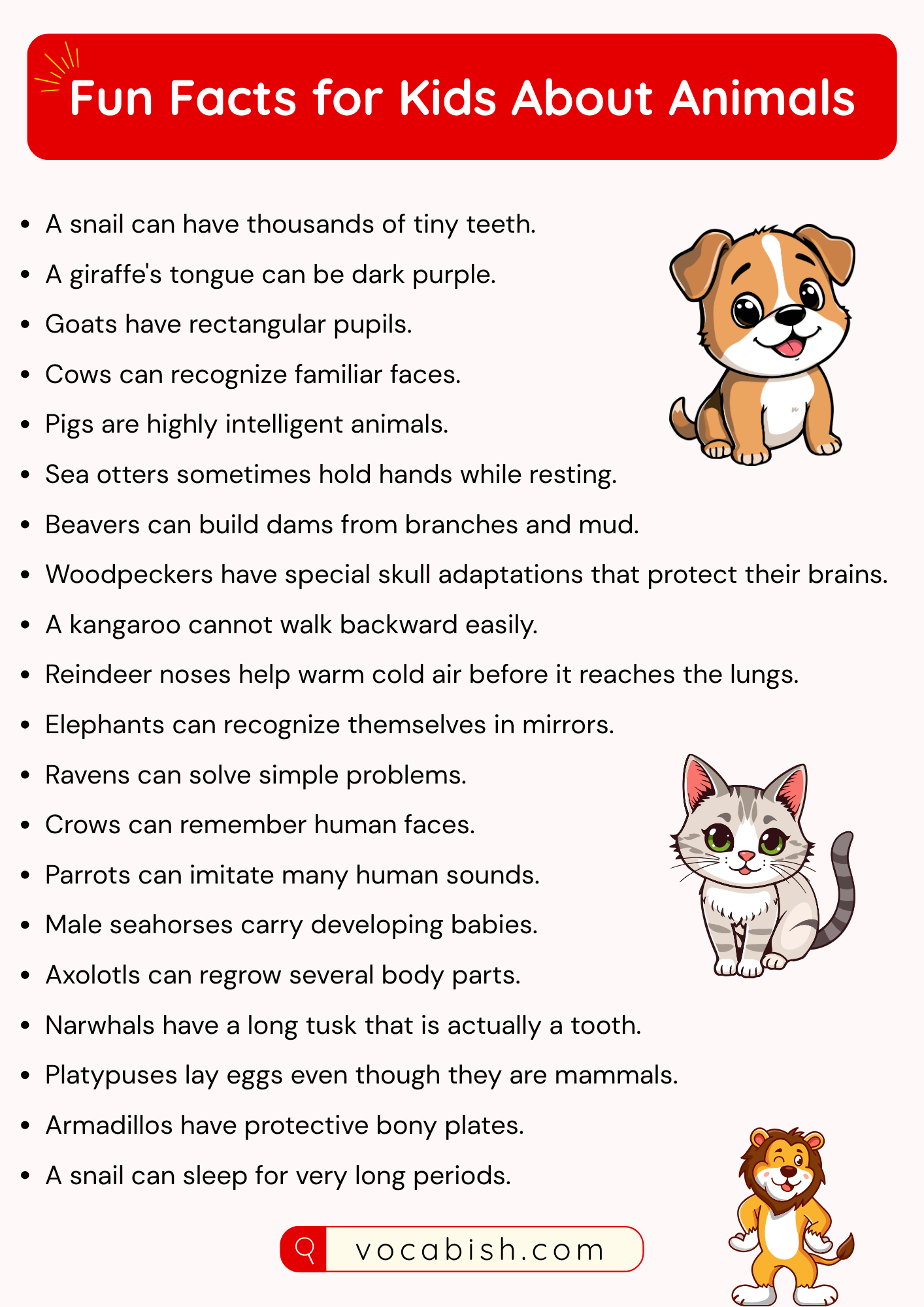Fun Facts for Kids About Animals