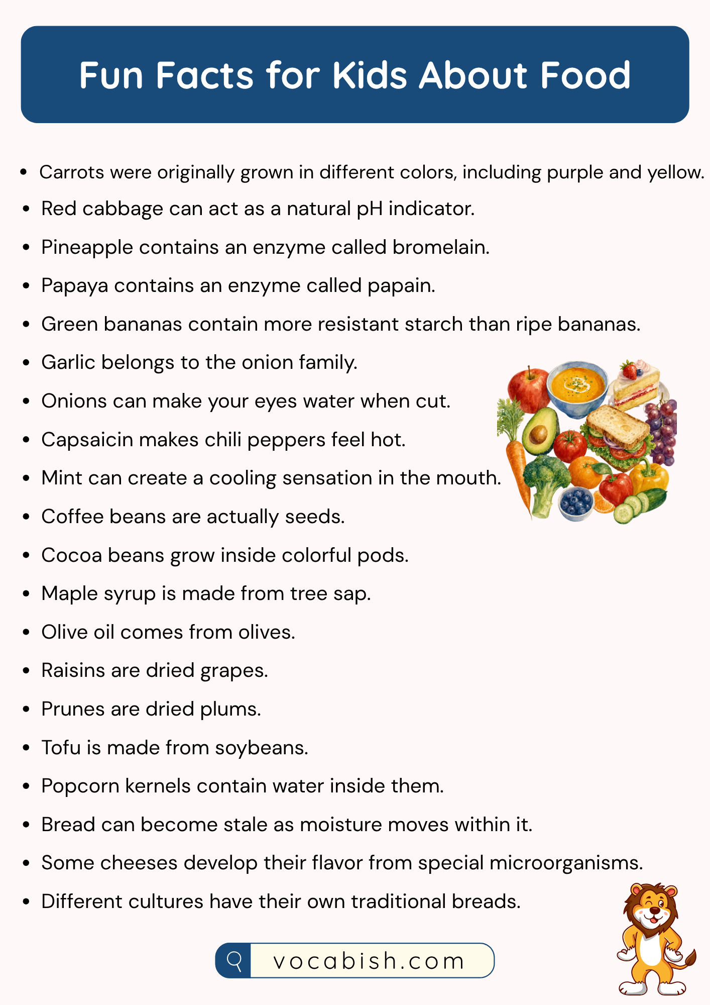 Fun Facts for Kids About Food