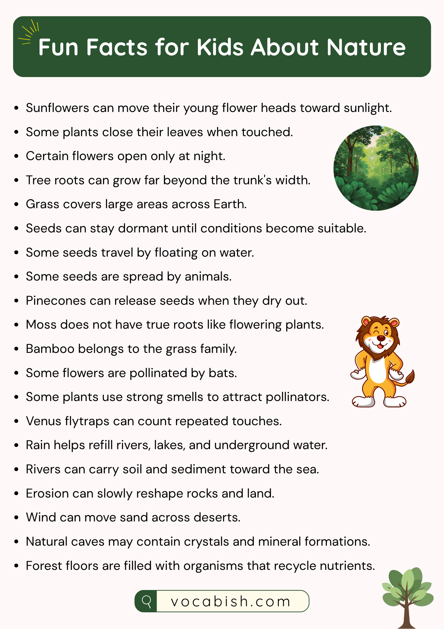 Fun Facts for Kids About Nature