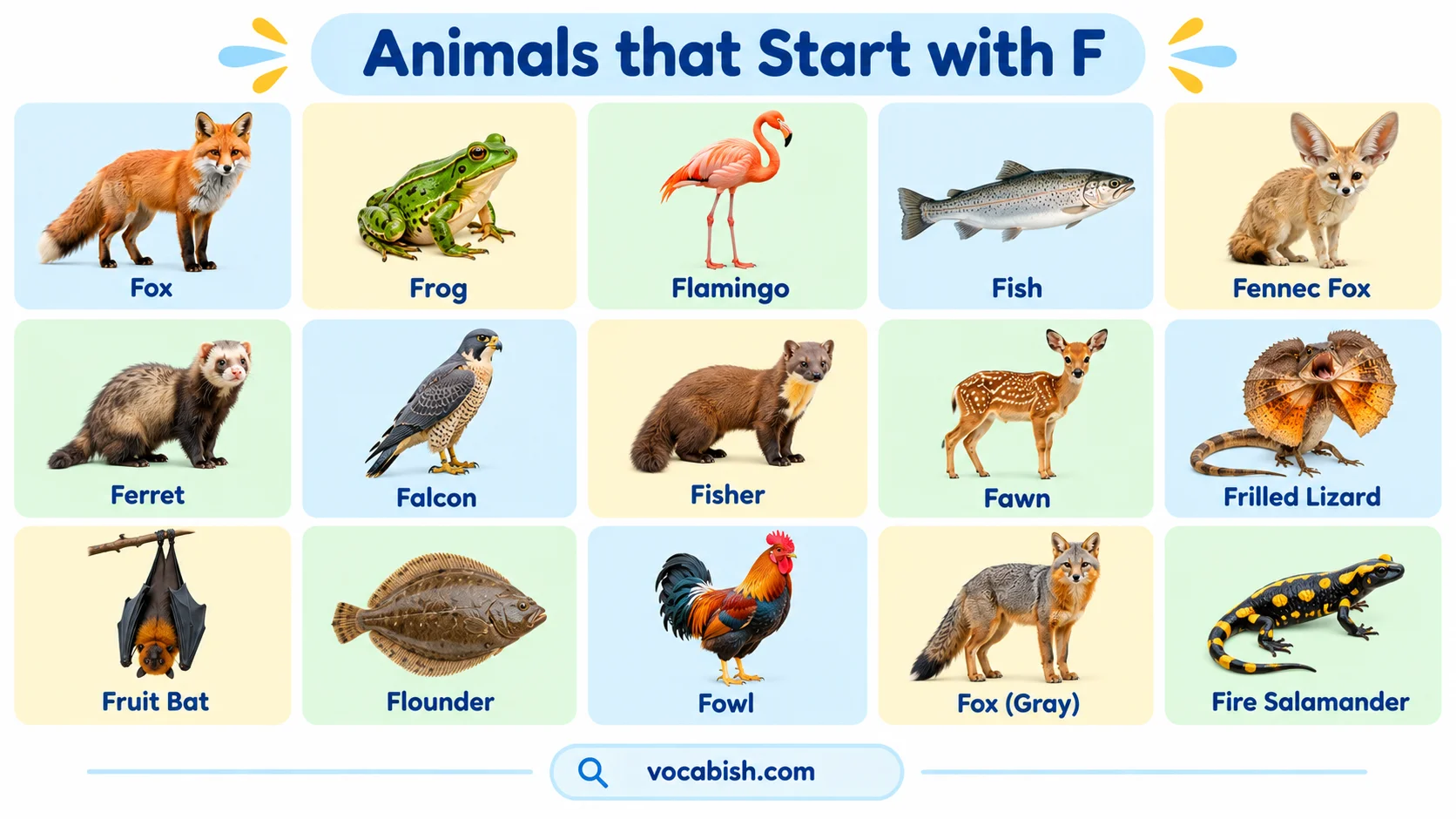 Animals that Start with F: 50+ Names, Facts, and Pictures