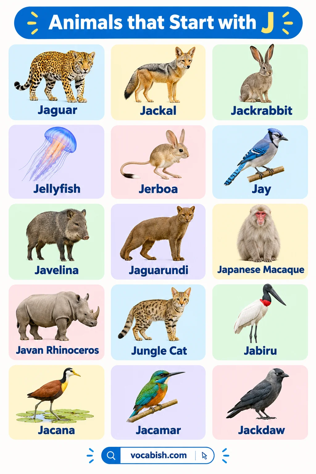 Animals That Start with J: 50+ Animal Names in English