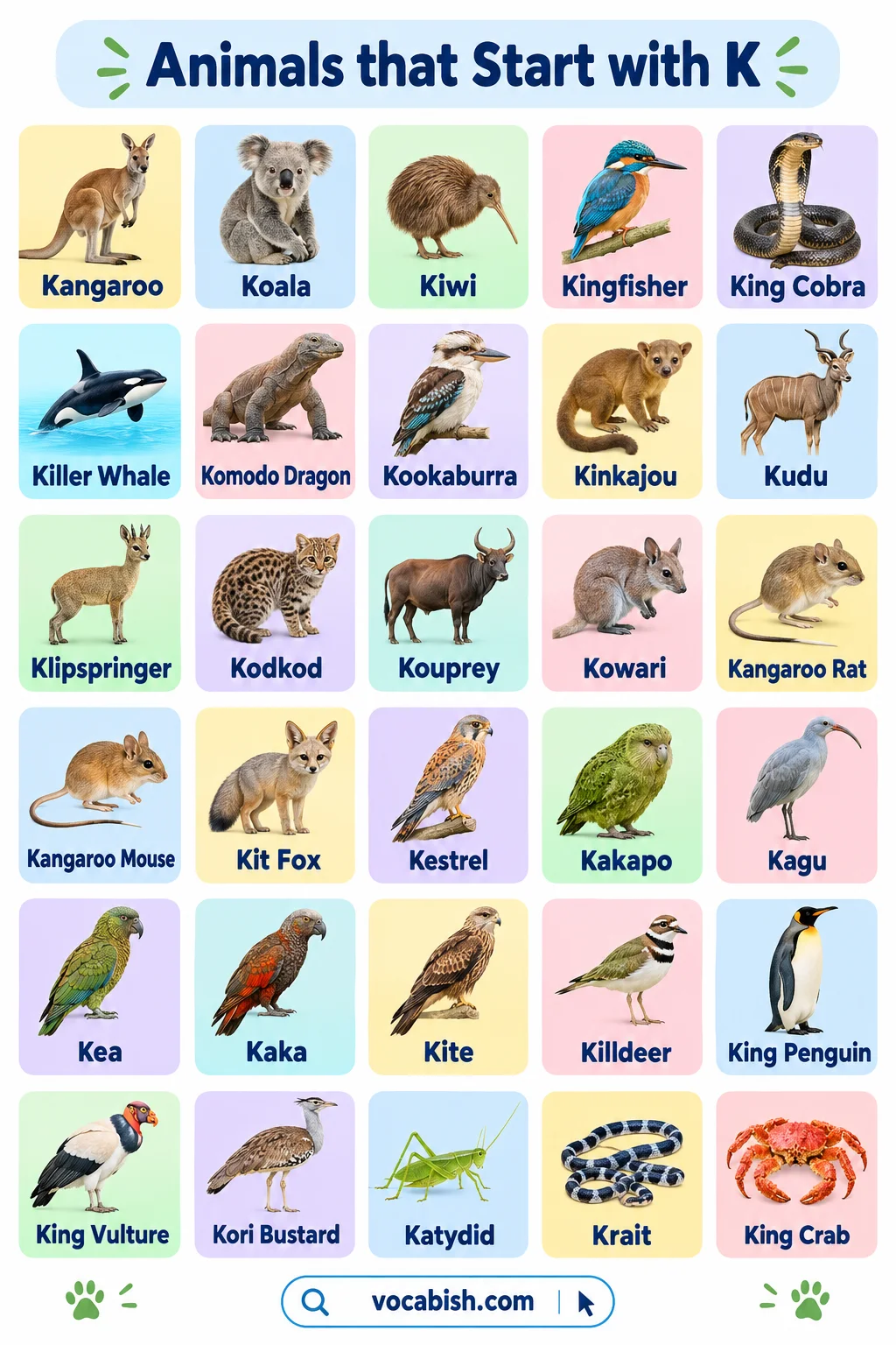 Animals That Start With K: 70+ Animal Names and Facts