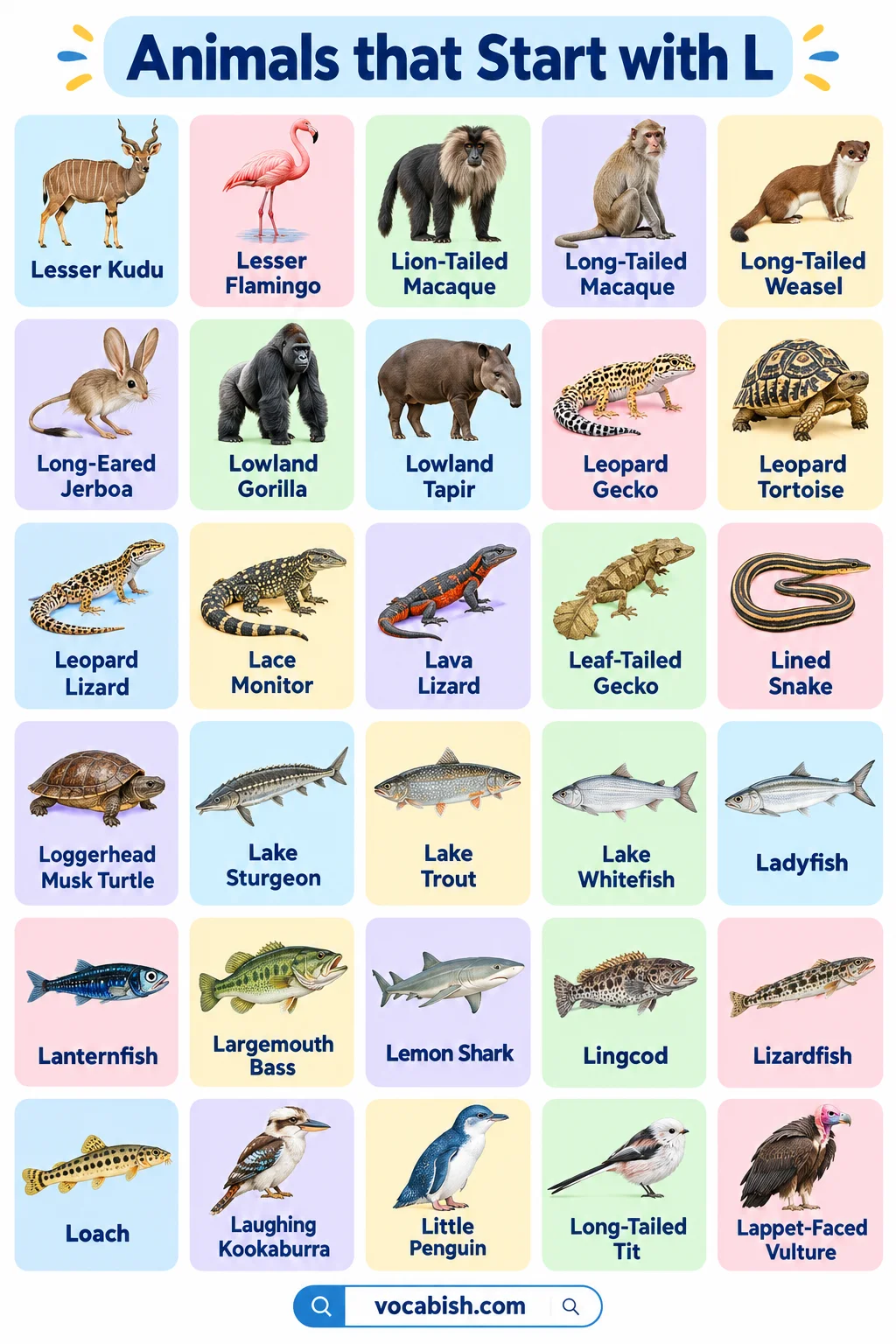 Animals That Start with L: 100+ Animal Names and Facts