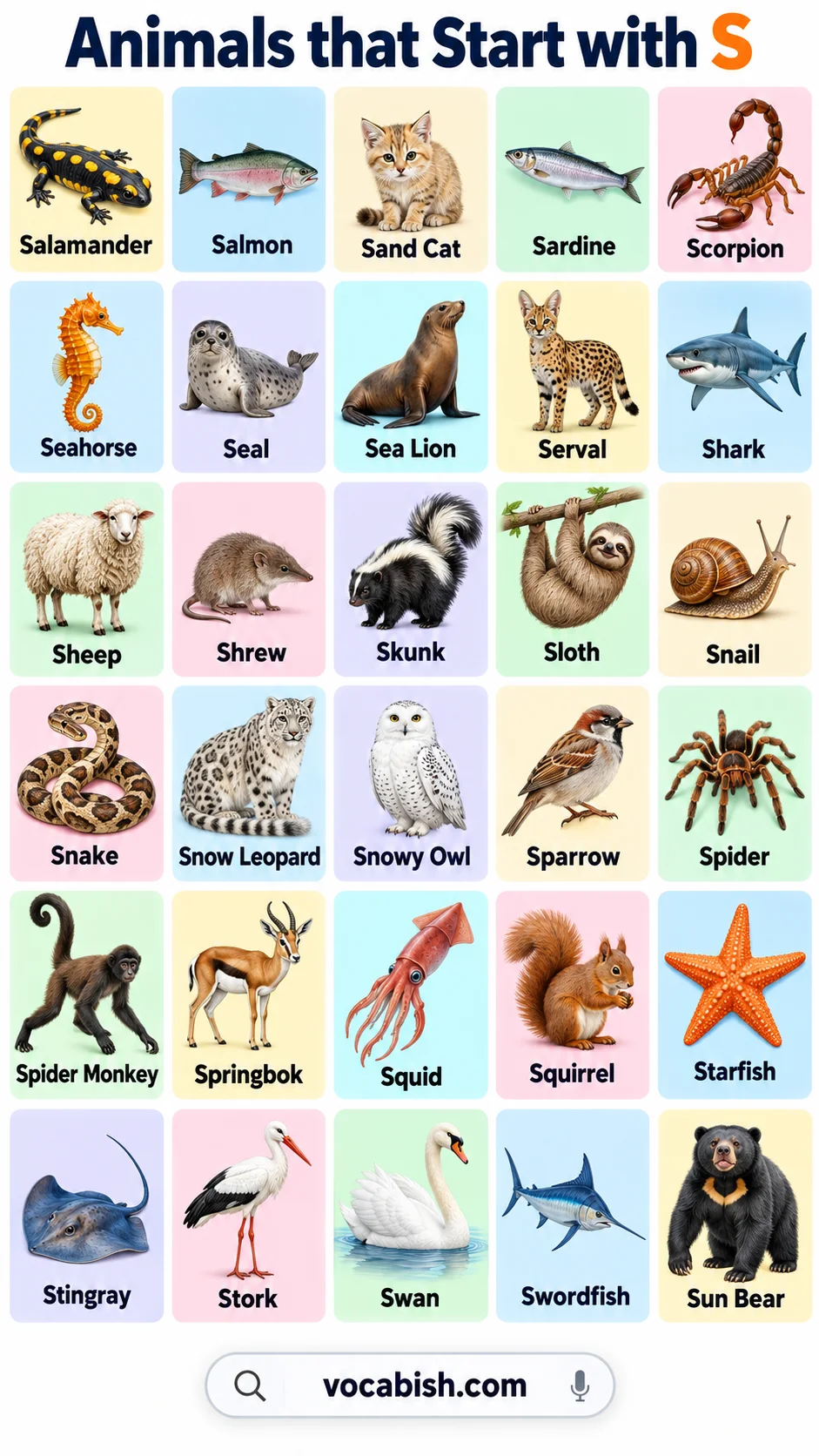 250+ Animals That Start with S in English: Names & Facts