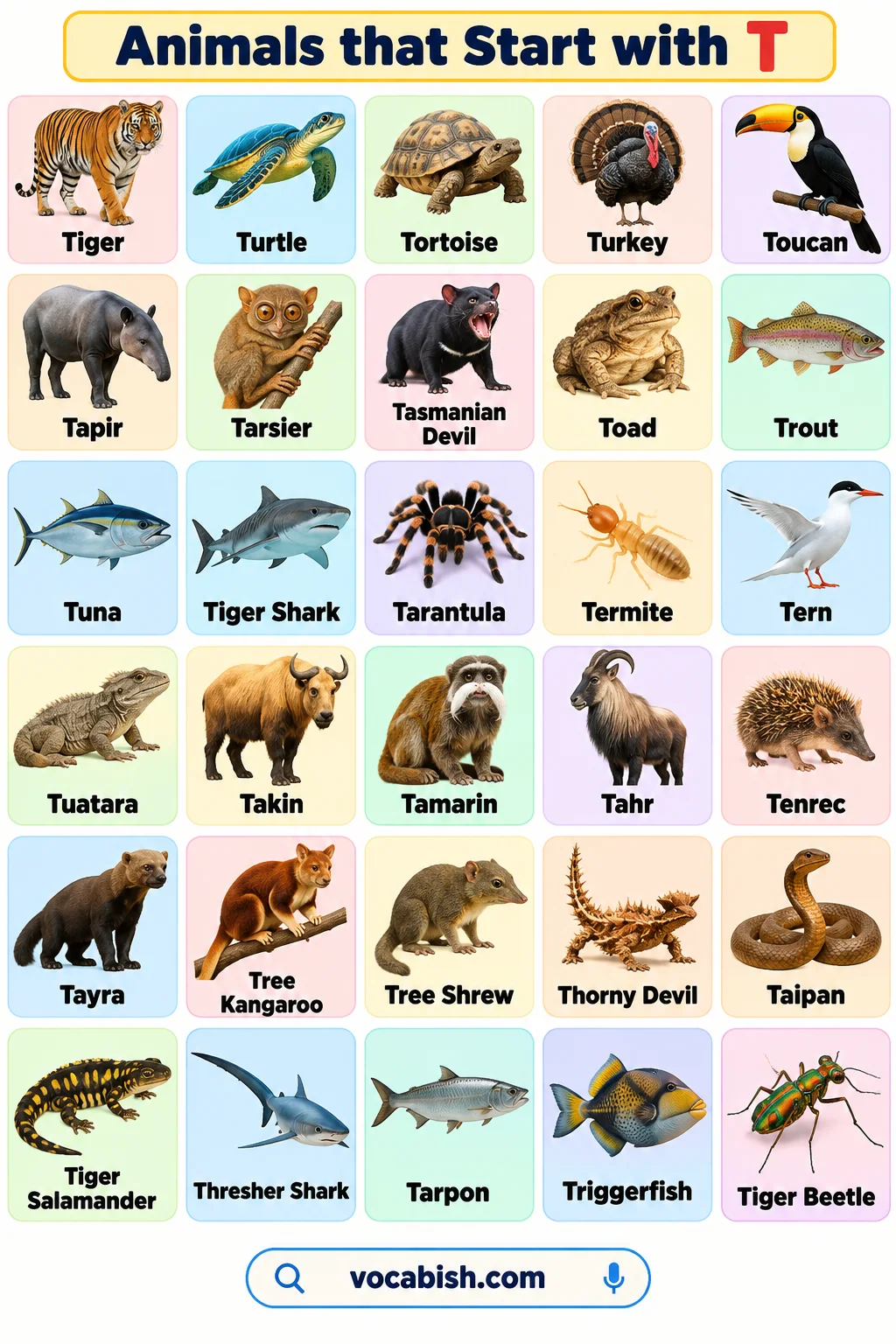 Animals That Start with T: Names, Types, and Easy Facts