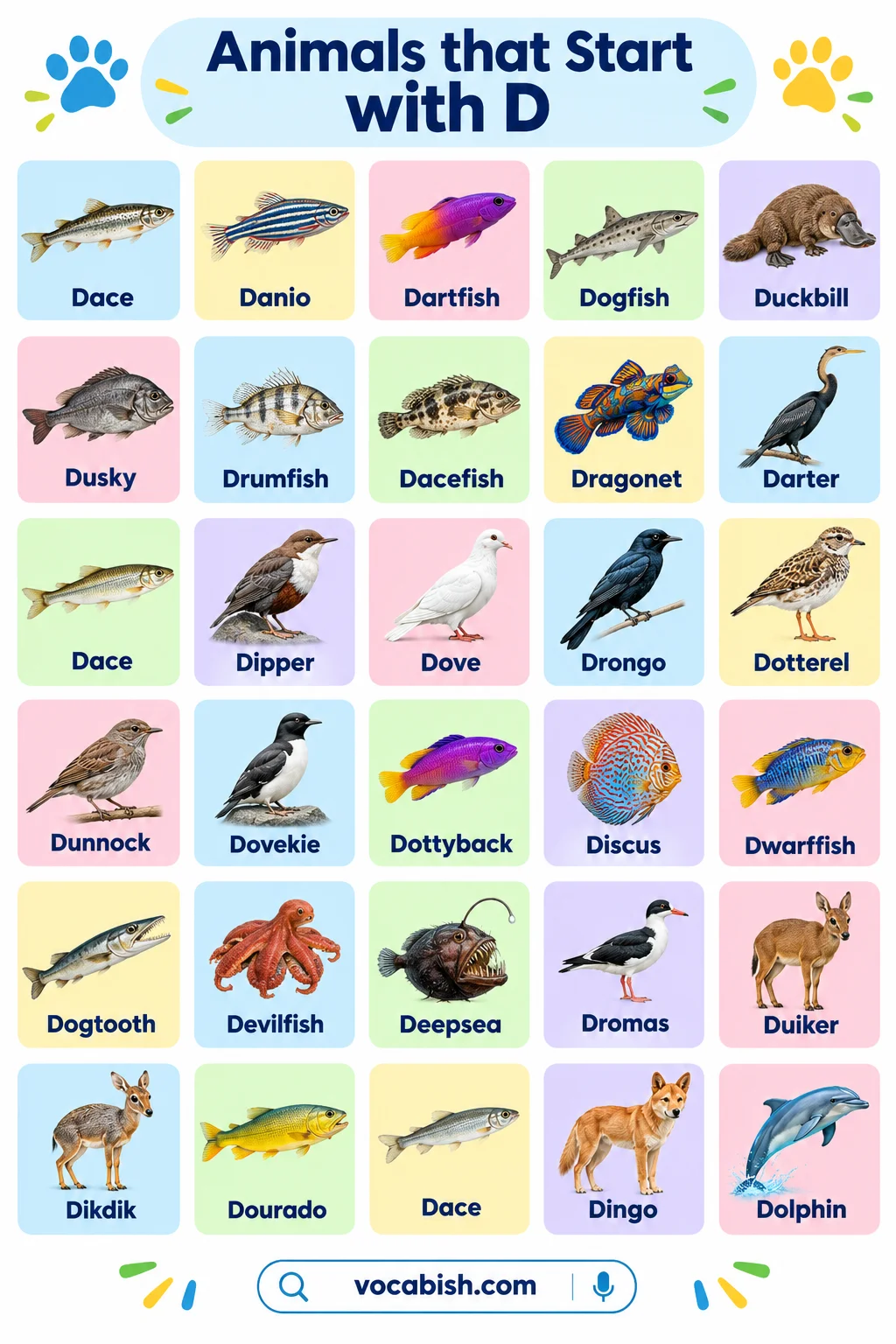 Animals That Start with D: Complete Animal List with Names