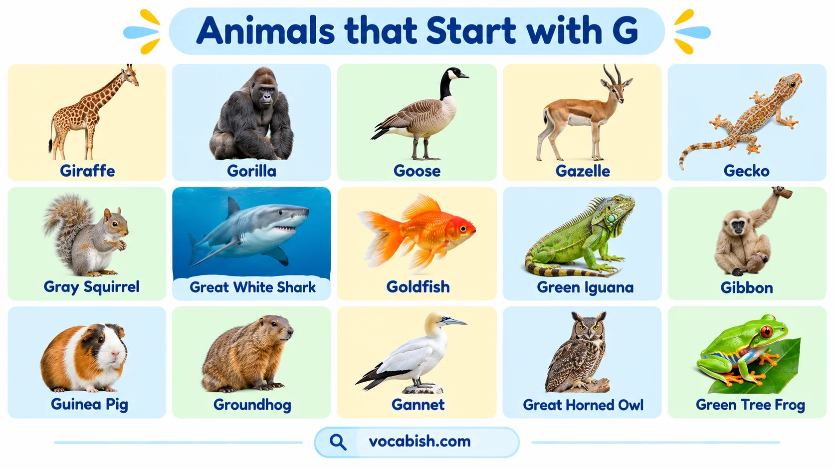 Animals That Start with G: Names, Types, and Pictures
