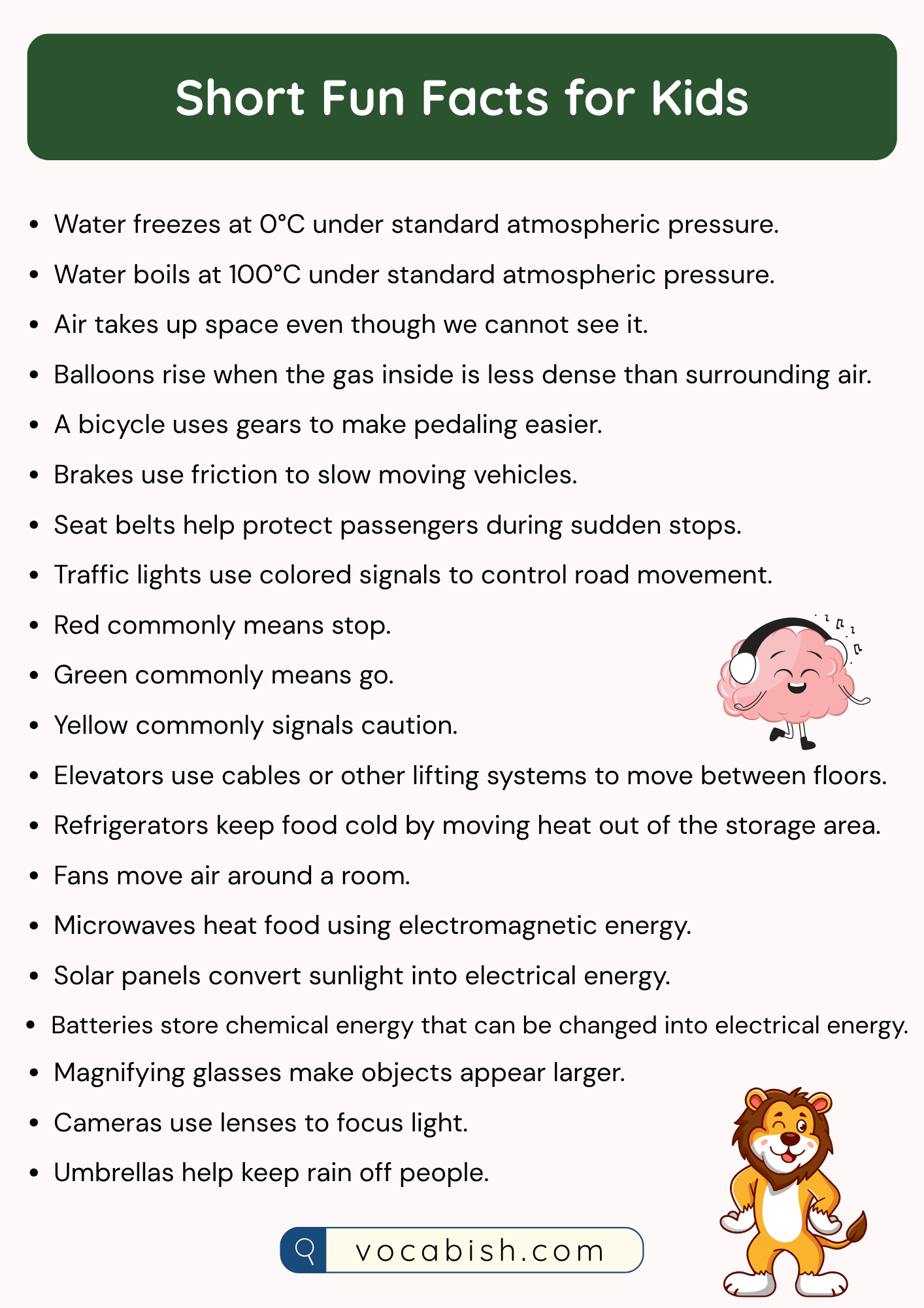 Short Fun Facts for Kids About Everyday Life