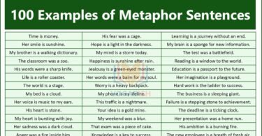 100 Examples of Metaphor Sentences in Everyday English