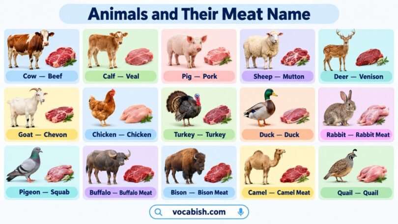 Animals and Their Meat Name: 50 Types of Meat with Pictures